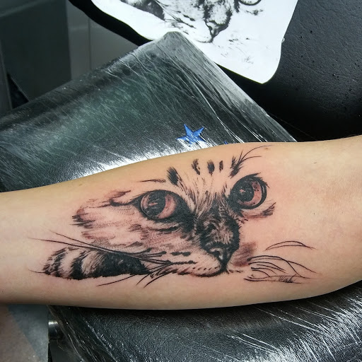 Tattoo and Piercing Shop «Miraculous Creations», reviews and photos, 387 Park Ave, Worcester, MA 01610, USA