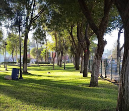 Agua Caliente Park photo