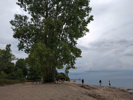 Park «Fort Gratiot County Park», reviews and photos, 3325 Metcalf Rd, Fort Gratiot Twp, MI 48059, USA