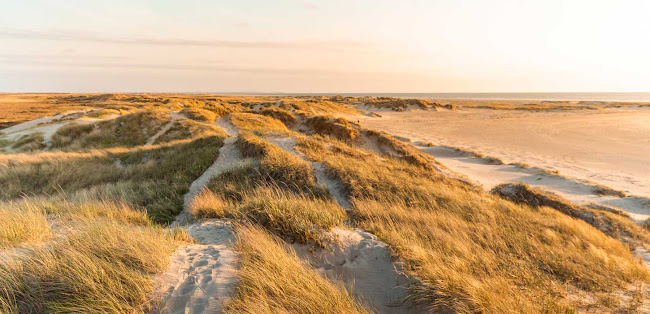 https://www.visitsonderjylland.dk/
