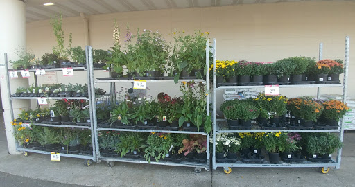 Department Store «Bi-Mart», reviews and photos, 1680 W 18th Ave, Eugene, OR 97402, USA