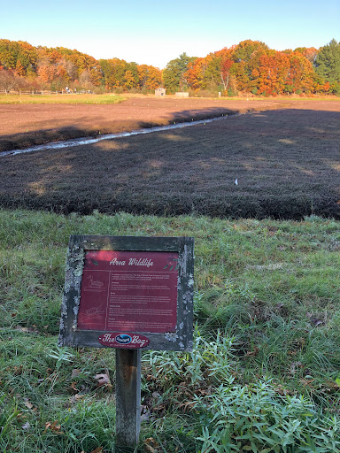 Nature Preserve «The Nature Trail and Cranberry Bog», reviews and photos, 252 Patriot Pl, Foxborough, MA 02035, USA