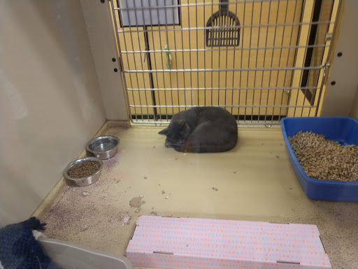Pet Supply Store «PetSmart», reviews and photos, 1 Worcester Rd, Framingham, MA 01701, USA