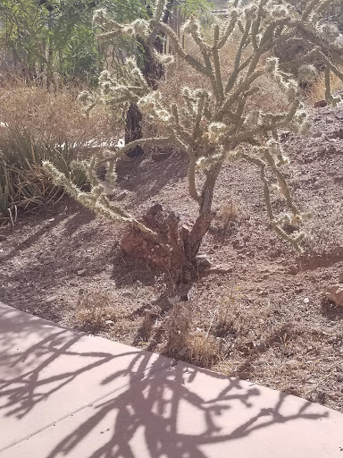 Visitor Center «Lake Mead Visitor Center», reviews and photos