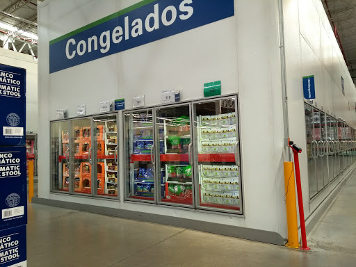 Dry ice stores Toluca de Lerdo