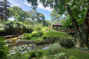 Botanical Garden "Jevremovac" image