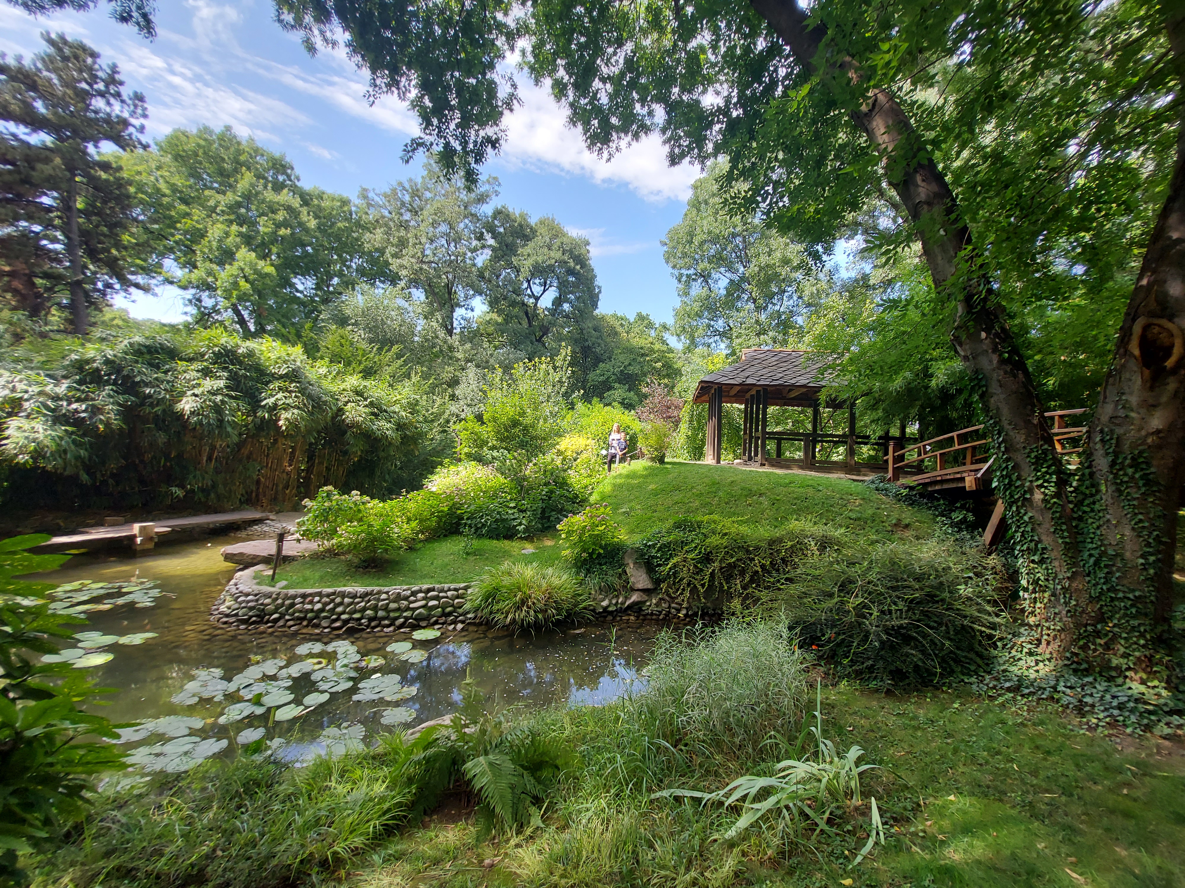 Picture of a place: Jevremovac Botanical Garden
