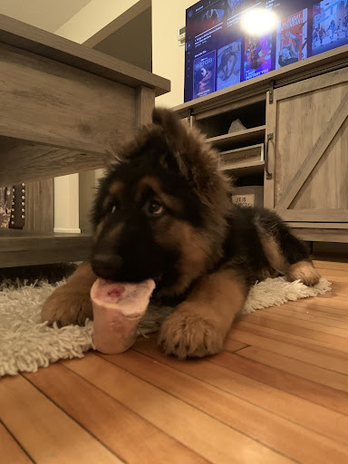 Butcher Shop «Flicker Meat Co», reviews and photos, 2002 Co Rd E East, St Paul, MN 55110, USA