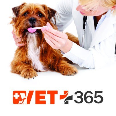 Vet365 (Clínica veterinaria de José Massabo)
