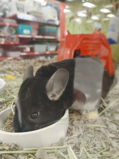 Pet Supply Store «Petco Animal Supplies», reviews and photos, 4950 S 76th St, Greenfield, WI 53220, USA