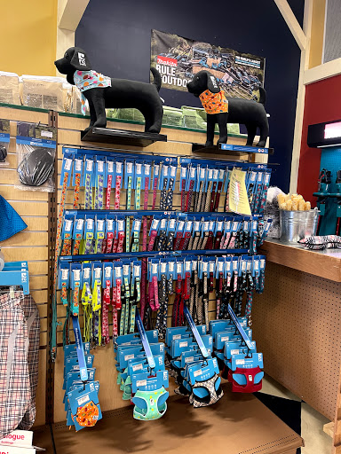 Florist «Petals & Paws», reviews and photos, 465 Albany Turnpike, Canton, CT 06019, USA