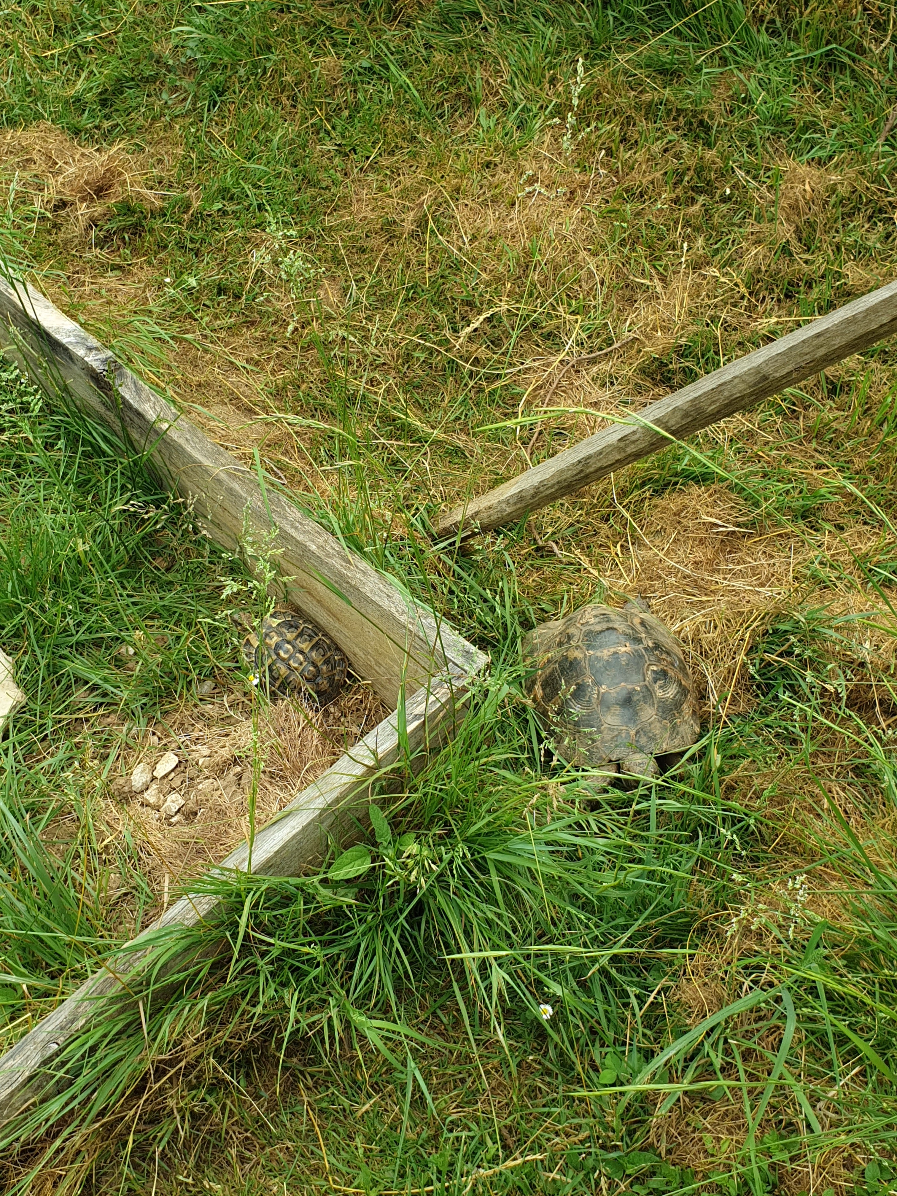 Photo n° 4 de l'avis de BN.s fait le 26/05/2022 à 17:33