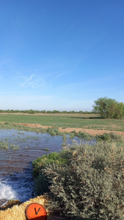 Robbins Butte Game Preserve, AZGFD