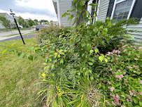 Sharp landscape & hardscape - Photo 9 - Car repair in , Columbus
