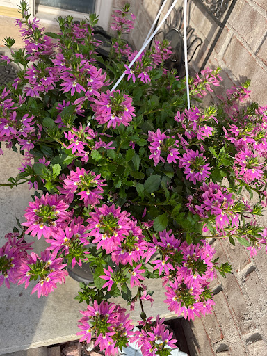 Garden Center «English Gardens», reviews and photos, 44850 Garfield Rd, Charter Twp of Clinton, MI 48038, USA