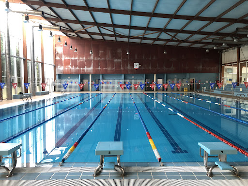 Competiciones de natación Murcia