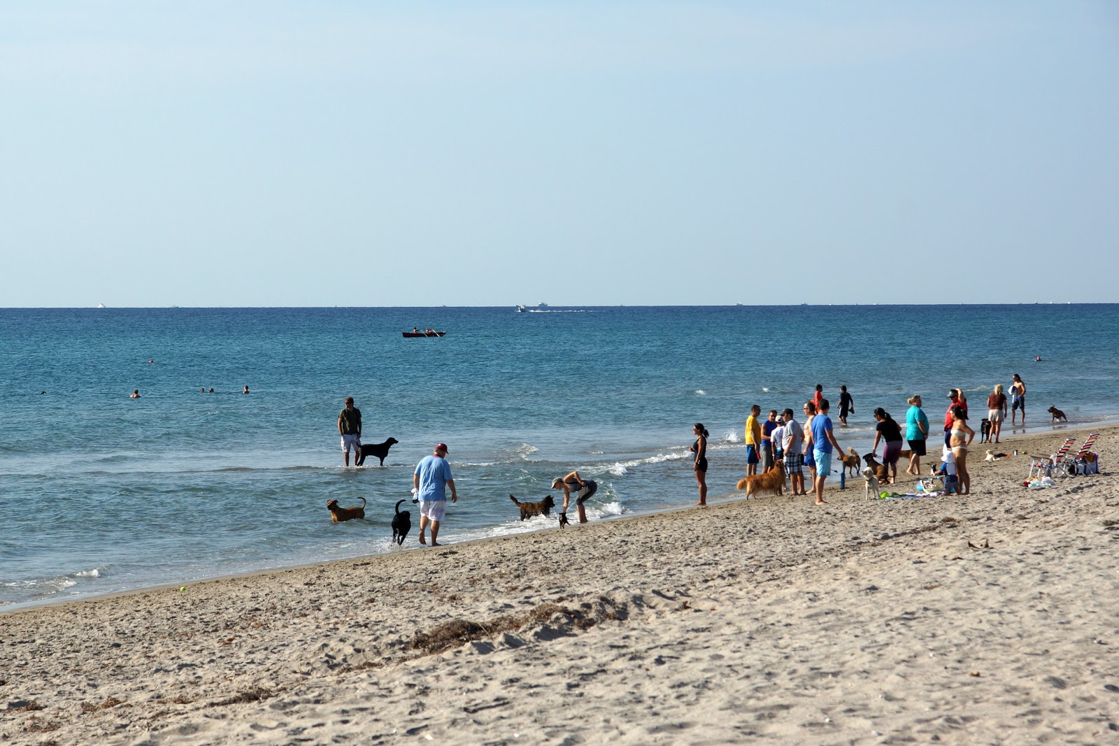 Spanish River beach的照片 带有长直海岸