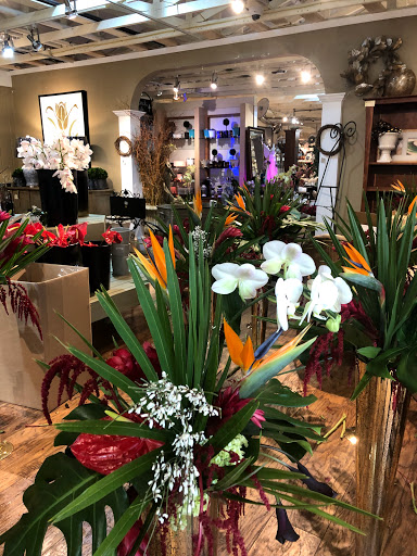 Plant Nursery «Potomac Petals and Plants», reviews and photos, 9545 River Rd, Rockville, MD 20854, USA