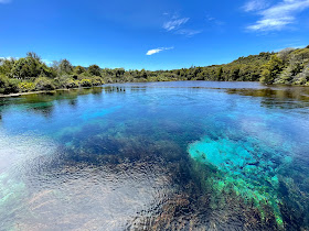 Te Waikoropupu Springs Scenic Reserve