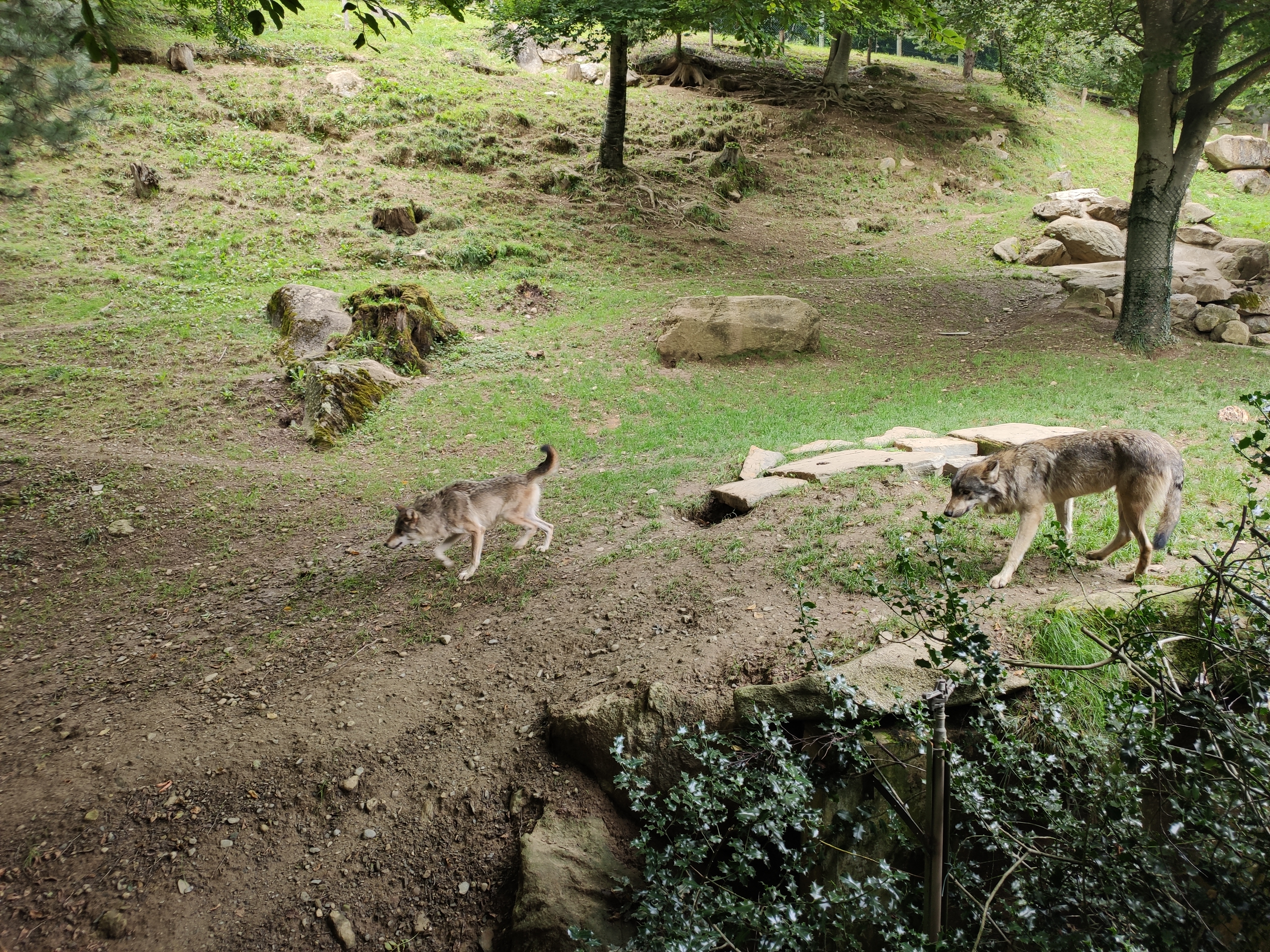 Photo n° 2 de l'avis de Maud. fait le 28/07/2020 à 15:26