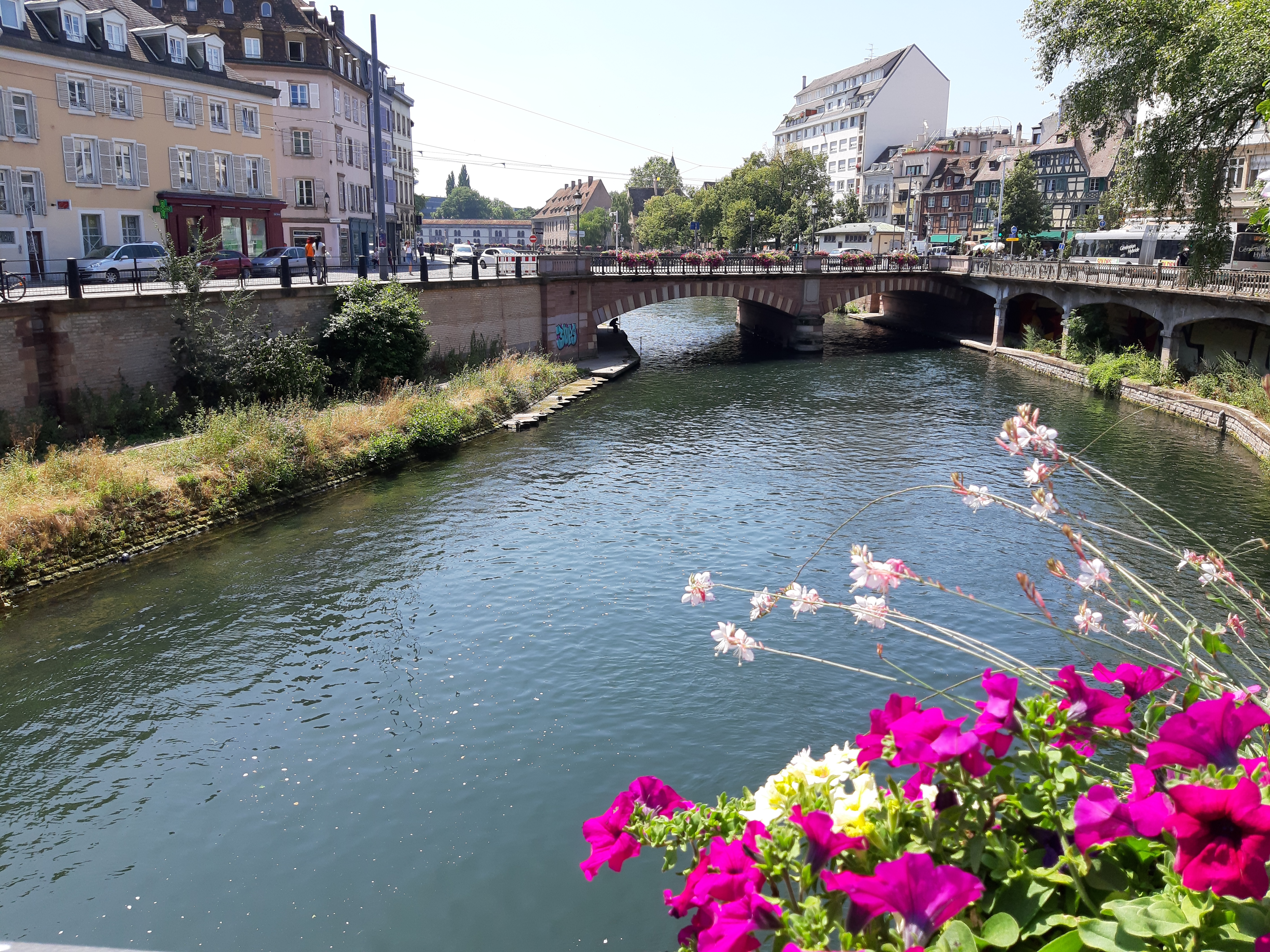 Photo n° 8 de l'avis de Delfin.e fait le 19/07/2019 à 11:52