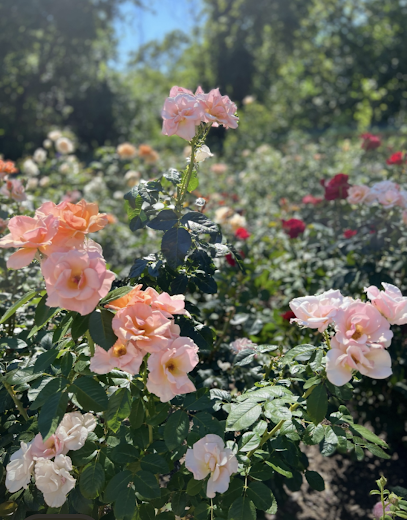 Creekside Rose Garden
