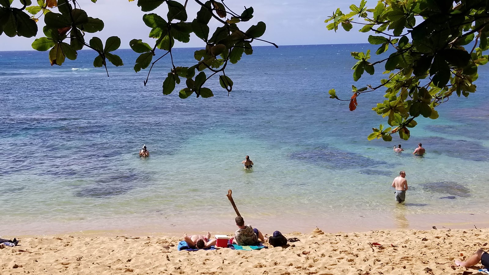 Photo de Hideaways Beach situé dans une zone naturelle