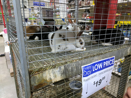 Shopping Mall «Crystal River Mall», reviews and photos, 1801 US-19, Crystal River, FL 34428, USA