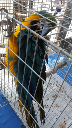 Pet Supply Store «Petco Animal Supplies», reviews and photos, 2021 Evergreen Ave, Modesto, CA 95350, USA