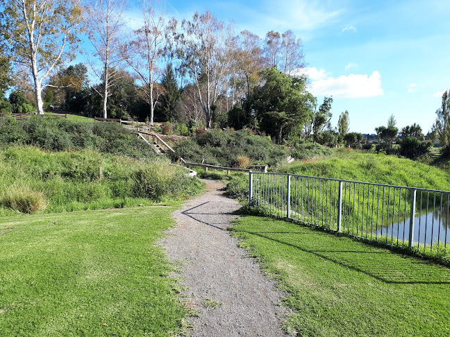 Carlton Park Softball Fields - Tauranga