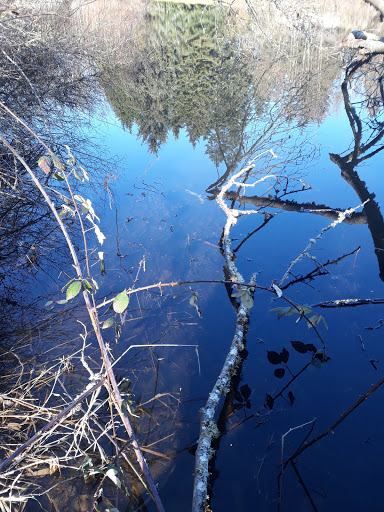 Park «West Hylebos Wetlands Park», reviews and photos, 411 S 348th St, Federal Way, WA 98003, USA