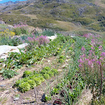 Photo n° 6 de l'avis de Phill.a fait le 31/07/2022 à 16:47 pour Restaurant Chez Pépé Nicolas, Val Thorens à val thorens