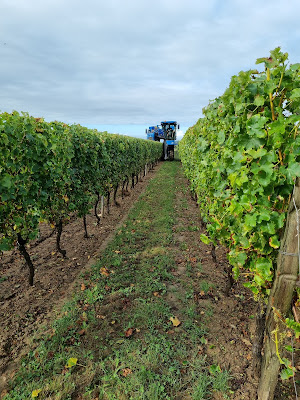 Chateau Bois Vert à Val-de-Livenne