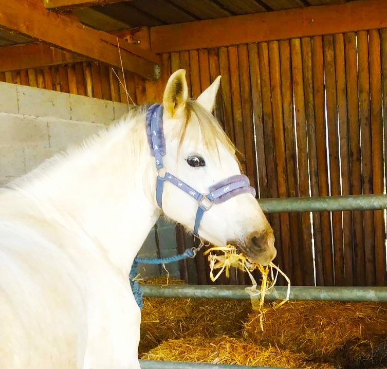 Photo n° 5 de l'avis de BEa.E fait le 13/04/2019 à 13:26