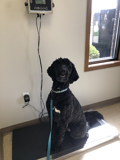 4147 Madison Pike, Covington, KY 41017, USA