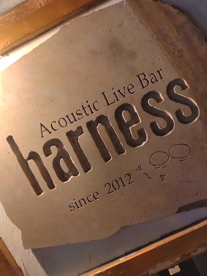 Acoustic Live Bar harness