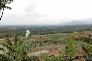 Bukit Kp.Pasir Kelewih(puncak Apud),murnisari,mande-cianjur image