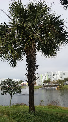 Self-Storage Facility «Life Storage», reviews and photos, 111 N Myrtle Ave, Clearwater, FL 33755, USA