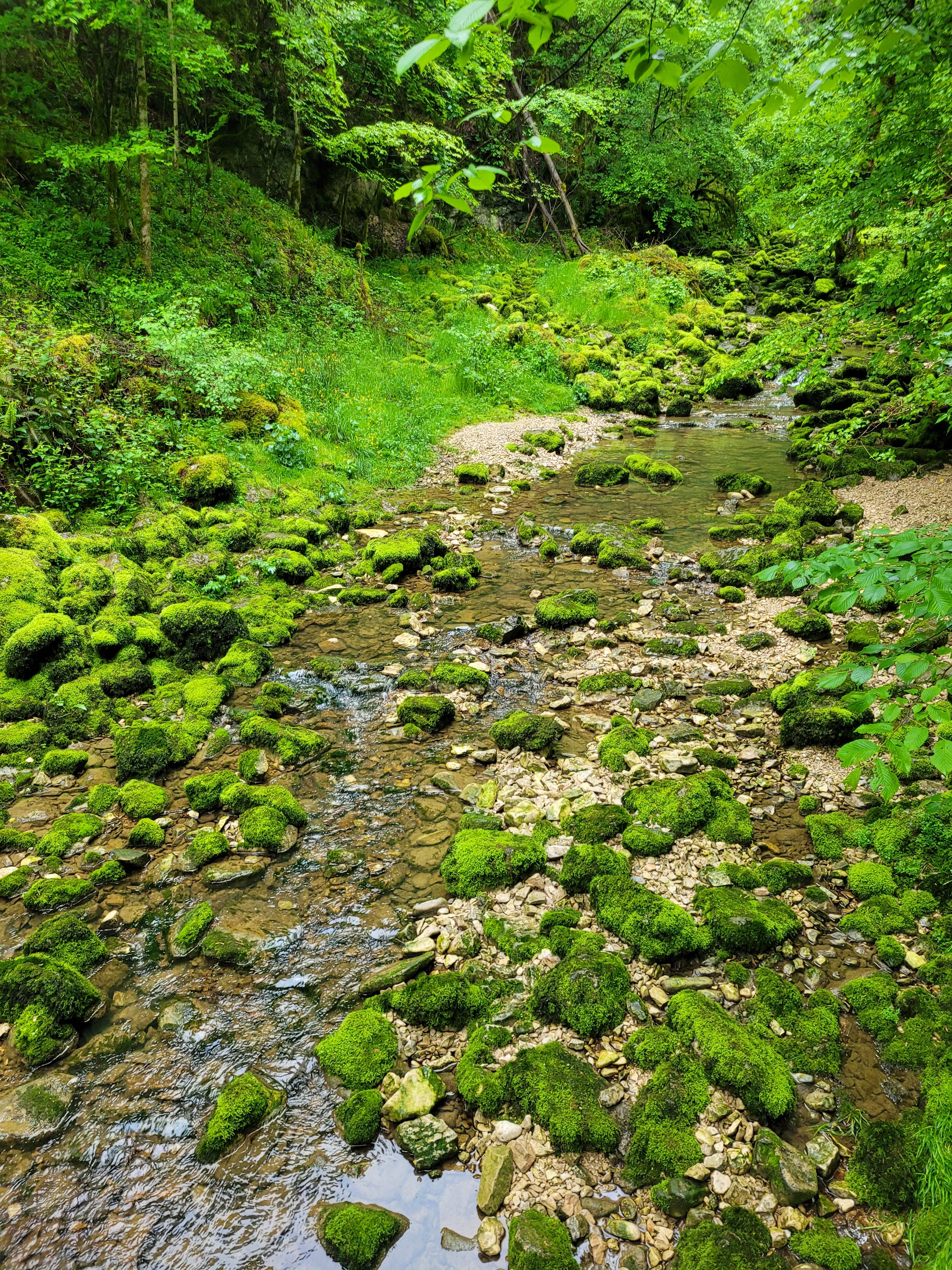 Photo n° 2 de l'avis de Solène.H fait le 16/05/2023 à 19:24