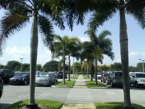 Real Estate School «Gold Coast Schools», reviews and photos