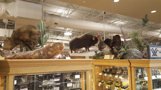 Sporting Goods Store «SCHEELS», reviews and photos, 1200 Scheels Drive, Sparks, NV 89434, USA