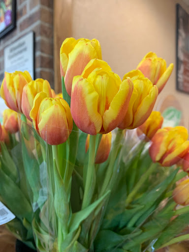 Supermarket «Wegmans», reviews and photos, 15 Woodbridge Center Dr, Woodbridge, NJ 07095, USA