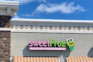 sweetFrog Premium Frozen Yogurt image