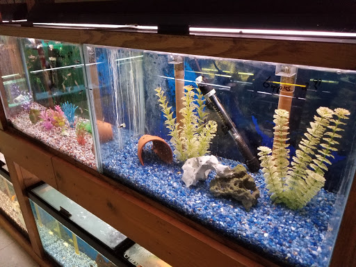 Pet Supply Store «All About Pets», reviews and photos, 9285 Cincinnati Columbus Rd, West Chester Township, OH 45069, USA