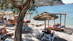Foto di Agios Isidoros Antikyra zona selvaggia