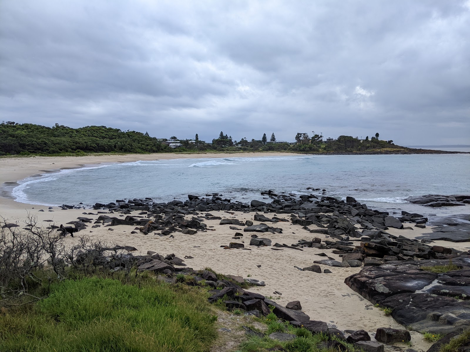Gannet Beach photo #7