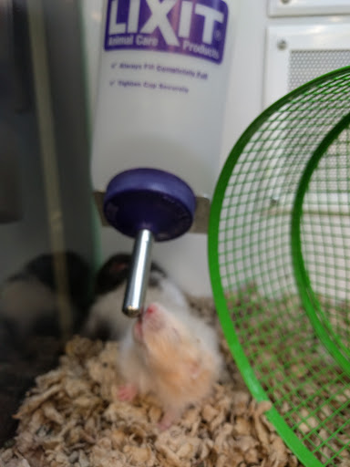 Pet Supply Store «Petco Animal Supplies», reviews and photos, 3215 Dredge Dr, Helena, MT 59602, USA