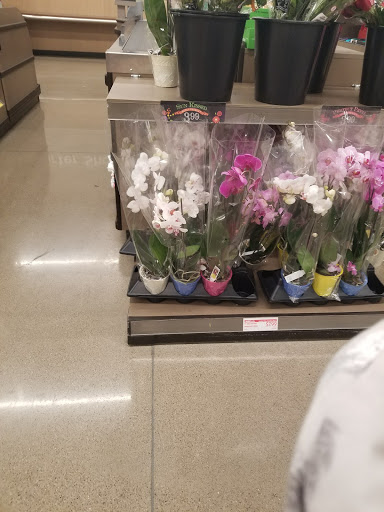 Grocery Store «ALDI», reviews and photos, 1128 S Main St, Englewood, OH 45322, USA