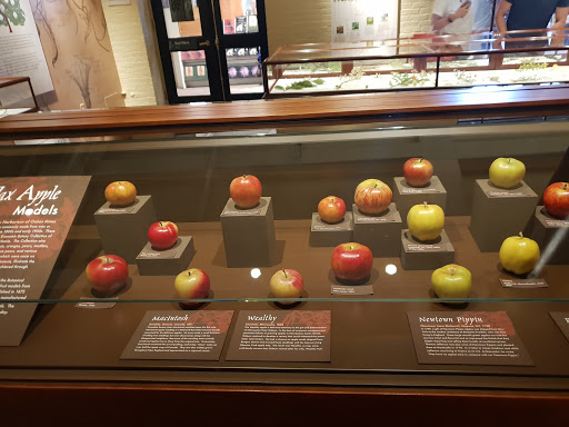 Natural History Museum «Harvard Museum of Natural History», reviews and photos, 26 Oxford St, Cambridge, MA 02138, USA