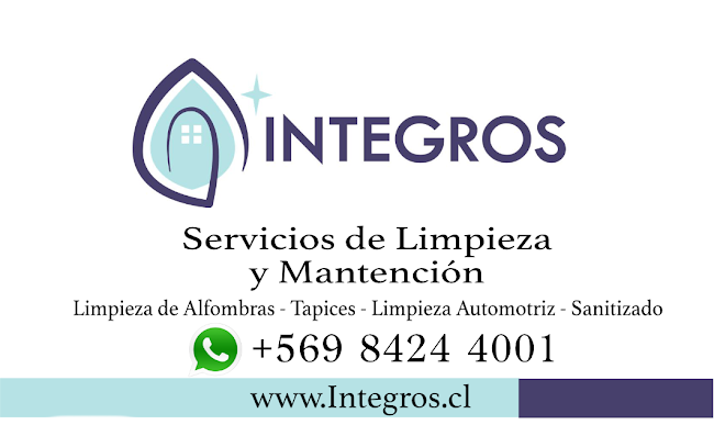 Opiniones de INTEGROS.CL , LAVADO DE ALFOMBRAS Y LIMPIEZA TAPICES CONCEPCIÓN en Concepción - Servicio de lavado de coches
